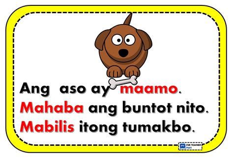 mga pepe at tite Flashcards .